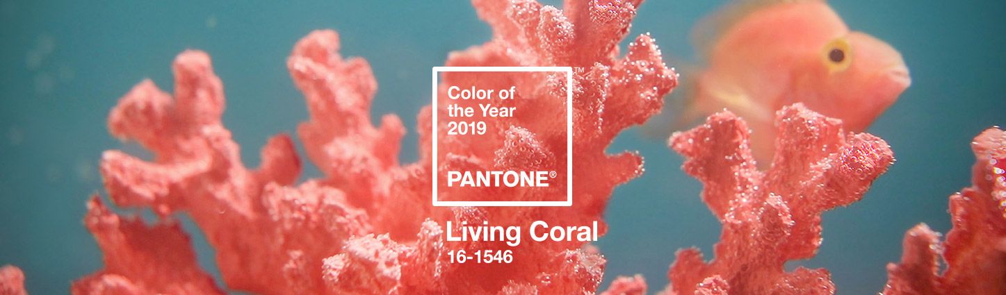 2019年潘通年度流行色「活力珊瑚橙」新鲜出炉