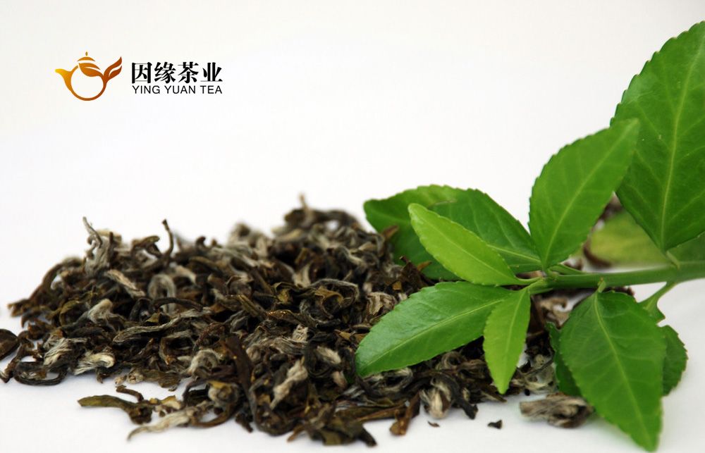 因缘茶业标志设计